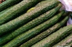 赤峰南新街賣菜電話號碼是多少