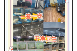 赤峰寵物店聯(lián)系方式