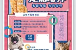 赤峰寄養(yǎng)寵物店電話多少號