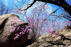 赤峰寧城縣莫泰酒店電話號(hào)碼