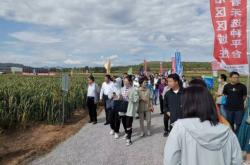 赤峰雜糧購銷部電話號(hào)碼查詢