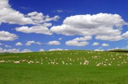 赤峰市格林特制藥電話號(hào)碼