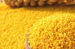 赤峰小米油酥廠家電話多少號