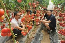 赤峰寧城曉娟診所電話多少號