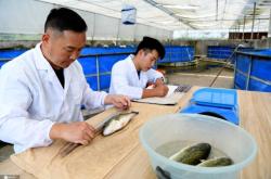 赤峰市糧種場(chǎng)電話號(hào)碼查詢