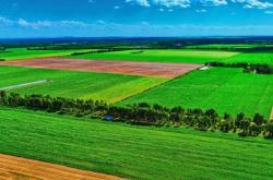 赤峰高鋁粘結(jié)劑銷(xiāo)售電話號(hào)碼