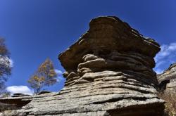 赤峰石立川診所聯(lián)系電話號(hào)碼