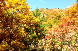 赤峰林西純凈水電話號(hào)碼