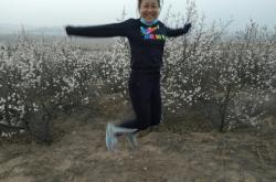 赤峰平莊到承德拼車電話號碼