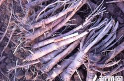 赤峰關(guān)家營(yíng)大營(yíng)子社區(qū)電話號(hào)碼