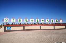 赤峰番茄基地電話多少號碼