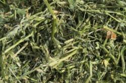 赤峰草捆采購(gòu)信息