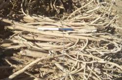 赤峰黃齊藥材市場地址電話號碼