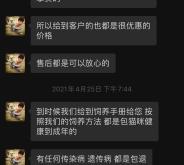 赤峰領(lǐng)養(yǎng)貓咪寵物店電話(huà)號(hào)碼