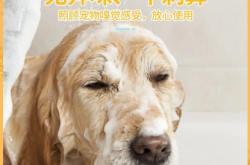 赤峰寵物修毛工具廠電話號碼