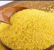 赤峰鹿產(chǎn)品批發(fā)商家電話號(hào)碼