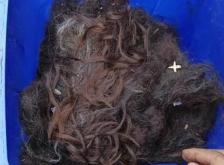 赤峰回收銀龍電話地址查詢號碼