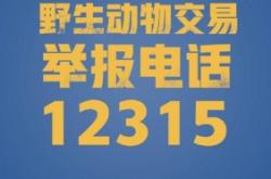 赤峰公共問(wèn)題舉報(bào)電話號(hào)碼是多少
