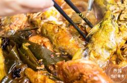 赤峰買小笨雞的地方電話號(hào)碼