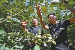 赤峰關(guān)家營監(jiān)控電話號碼查詢