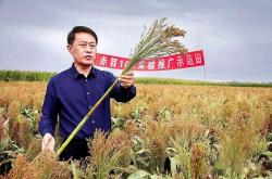 赤峰小掃把廠家電話號(hào)碼查詢