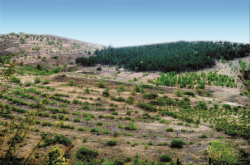 赤峰下洼子店電話號碼查詢