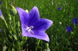 赤峰小花理發(fā)店電話號(hào)碼多少