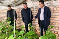 赤峰市錦山采摘園電話號碼