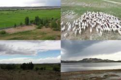 赤峰羊奶實體店電話號碼查詢