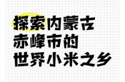 赤峰董家小米店電話號(hào)碼查詢