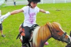 赤峰東郊馬戲團(tuán)電話多少號(hào)