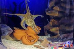 赤峰寵物水族館電話號碼多少