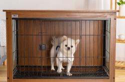 赤峰自制狗籠廠家電話地址查詢