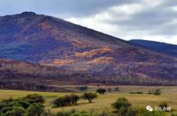 赤峰洪風(fēng)馬術(shù)館電話號碼多少