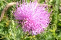 赤峰八號拉鏈廠地址電話號碼