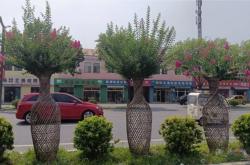 赤峰嬌藝紋繡店電話地址查詢