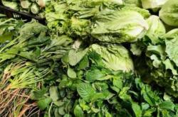 赤峰頭條新菜市場(chǎng)電話號(hào)碼