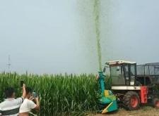 赤峰進口收割機電話號碼查詢