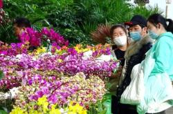 赤峰批發(fā)花卉基地電話號碼