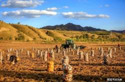 赤峰到四道灣的車電話號(hào)碼
