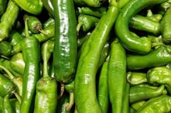 赤峰青辣椒清洗機(jī)售后電話號碼