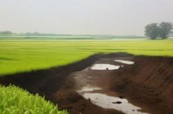 赤峰市耕地保護股電話號碼