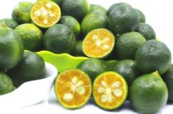 赤峰賣小青桔的地方電話號碼