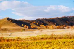 赤峰平莊馬立武診所電話號碼