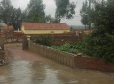 赤峰市大廟養(yǎng)老院電話號碼