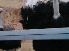 赤峰賣擋水條的電話號(hào)碼