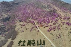 赤峰杜鵑山風(fēng)景區(qū)電話號碼