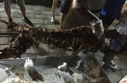 赤峰到商丘長途大巴車電話號(hào)碼