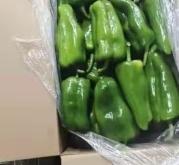 赤峰尖椒收購(gòu)商電話是多少號(hào)