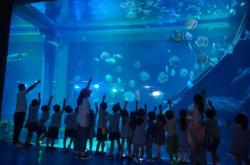 赤峰新城海洋館電話號(hào)碼多少